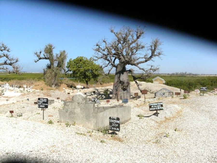 11-Cimetiere de coquillages.jpg