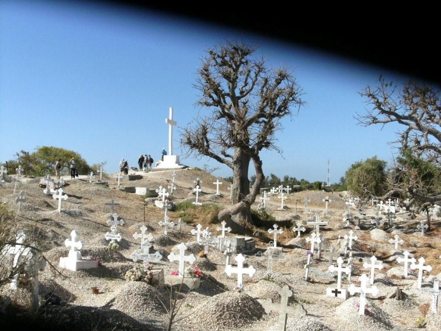 12cimetiere de coquillages.jpg